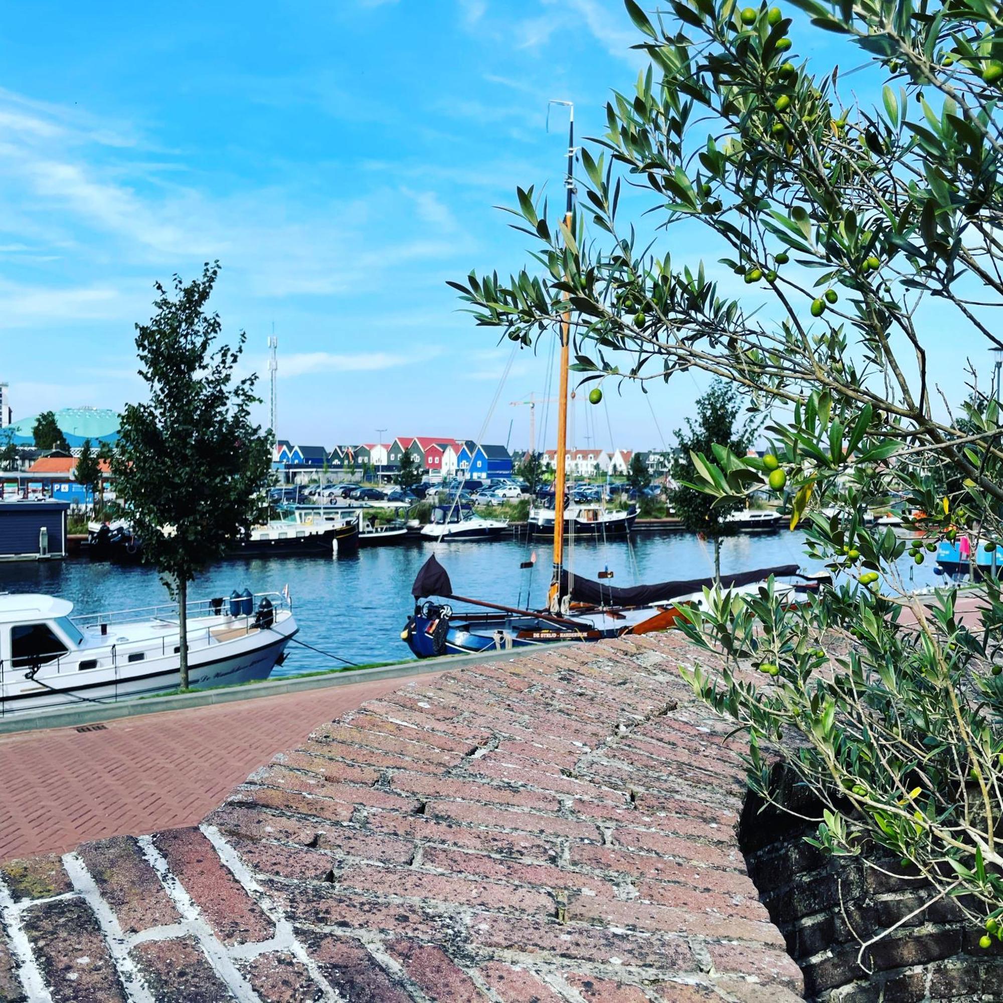 Huisje Harderwijk Exteriör bild